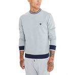 Bruno Sweater // Gray (Large)