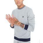 Bruno Sweater // Gray (Large)