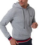 Benito Sweatshirt // Gray (3X-Large)