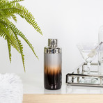 Lorus // Metallic Ombre 20 oz. Cocktail Shaker