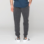 Emil Jogger // Heather Gray (XL)