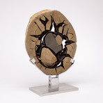 Madagascar Septarian Calcite Nodule Slab // Ver. 1