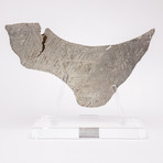 Seymchan Meteorite Slice