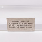 Seymchan Meteorite Slice