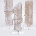 Selenite Crystals // Set of 3