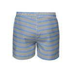 Breeze Swim Shorts Long // Norse Blue (L)