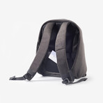 EVE 15 // Anti-Theft Backpack  (Blue)