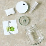 Kraut Making Kit