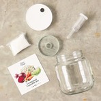 Fermented Vegetable Making Kit