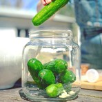 Fermented Pickle Making Kit