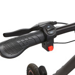 GoVelo // Black