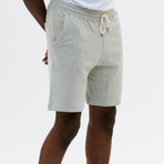 Sweatshorts // Heather Gray (Small)