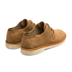 Morrys Blucher Shoes // Brown (Euro: 39)