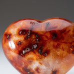 Carnelian Heart v.1