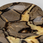 Septarian Heart Dish v.4