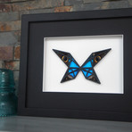 Butterfly Wings in Abstract Modern Art