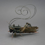 Orthoptera // Tropidacris Dux