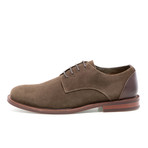 Renley Oxford // Moss Green (US: 10)