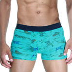 Dino Boxer III // Teal + Navy // Pack of 2 (XL)