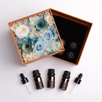 Laugh At Confusion // Immortal Flower Gift Set + 6 Essential Oils