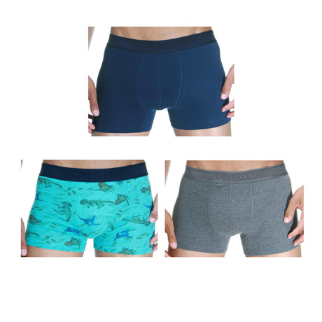 Dino Boxer III // Gray +Teal + Navy // Pack of 3 (S)