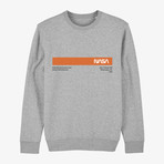 Nasa Sweatshirt // Gray (Small)