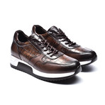 Delta // Brown (Euro: 43)