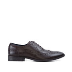 Oliver Oxford Brogue // Brown (UK 6)