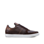 Lucas Plimsoll // Brown + Tan (UK 6)