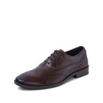 Caleb Oxford Brogue // Brown (UK 6)