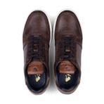 Lucas Plimsoll // Brown + Tan (UK 6)