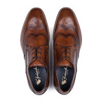 Daniel Derby Brogue // Tan (UK 6)