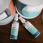 On-The-Go Everyday Cleaner