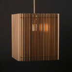 3D Modern Wood Pendant Light