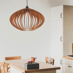 Elliptic Modern Hanging Lamp