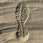 Low Top Velcro Sneaker V2 // Coal (US: 4.5)