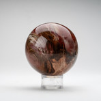 Polished Petrified Wood Sphere + Acrylic Display Ring