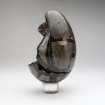 Polished Septarian Druzy Egg + Acrylic Display Ring v.1