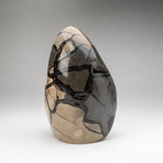 Polished Septarian Druzy Egg + Acrylic Display Ring v.2