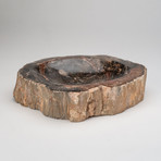 Petrified Wood Bowl