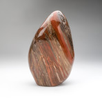 Polished Petrified Wood Freeform v.2