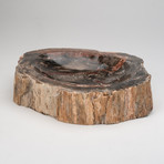 Petrified Wood Bowl