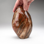 Polished Petrified Wood Freeform v.2