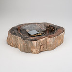 Petrified Wood Bowl