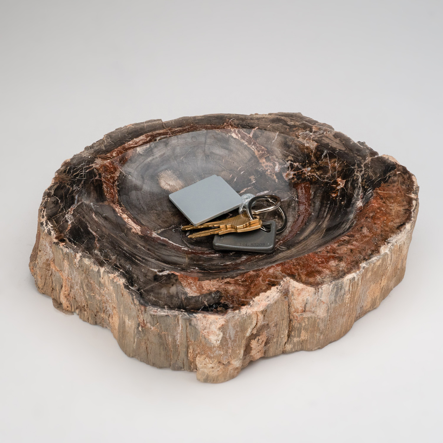 Petrified wood bowl