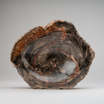 Petrified Wood Bowl