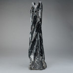 Polished Orthoceras Fossil Statue v.2