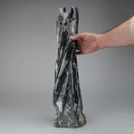 Polished Orthoceras Fossil Statue v.2