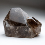 Smoky Quartz Point Cluster