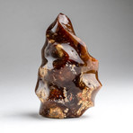 Polished Petrified Wood Flame Freeform